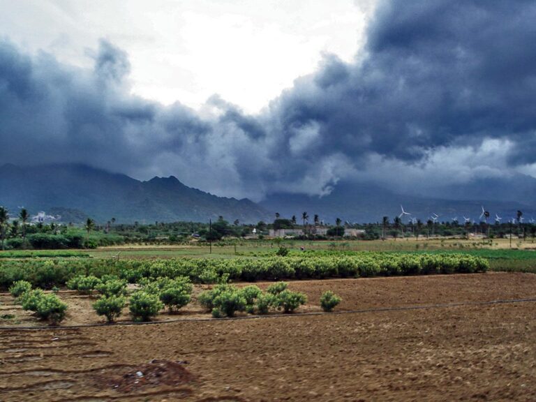 मान्सूनचा मुक्काम लांबणार; महाराष्ट्रातील अनेक जिल्ह्यांना यलो अलर्ट